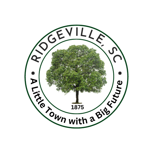 Town Seal