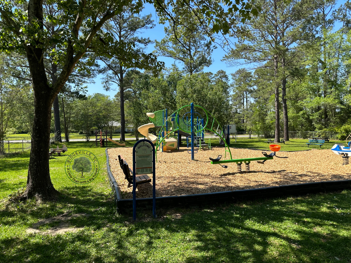 playground 
